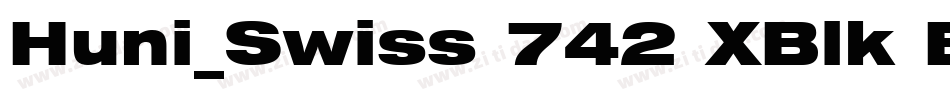 Huni_Swiss 742 XBlk BT Regular字体转换